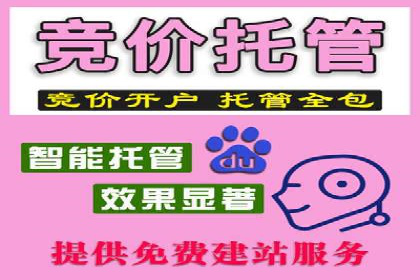 百度竞价广告在电商行业的实战应用案例